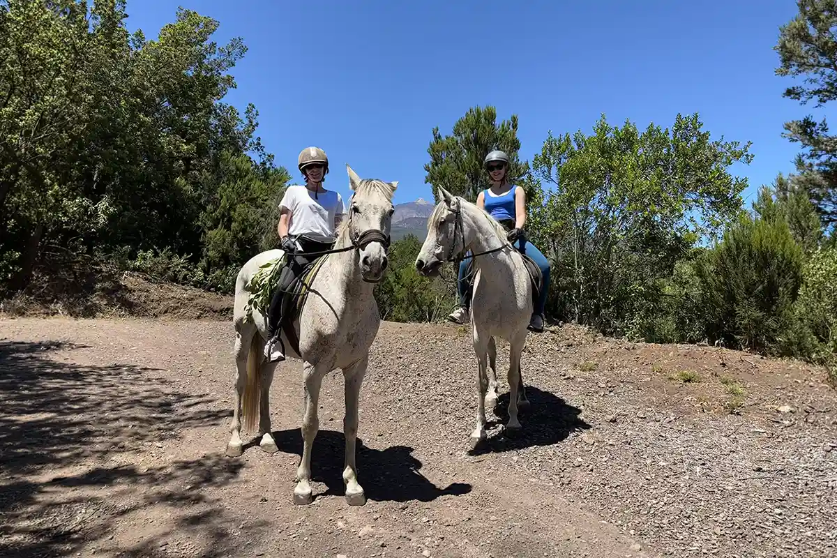 Ausritt im Norden Teneriffas - Foto 1