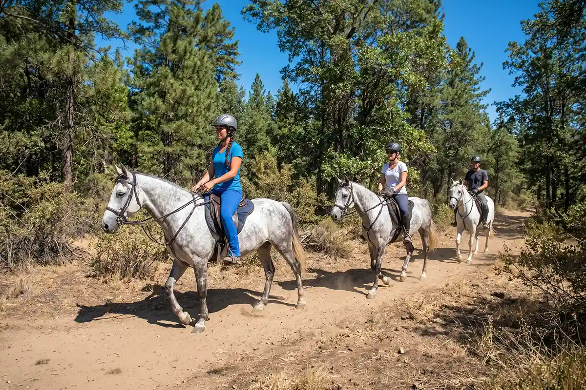 Ausritt im Norden Teneriffas - Foto 3
