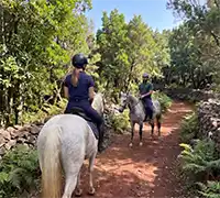 Vorschaubild 6 - Ausritt im Norden Teneriffas