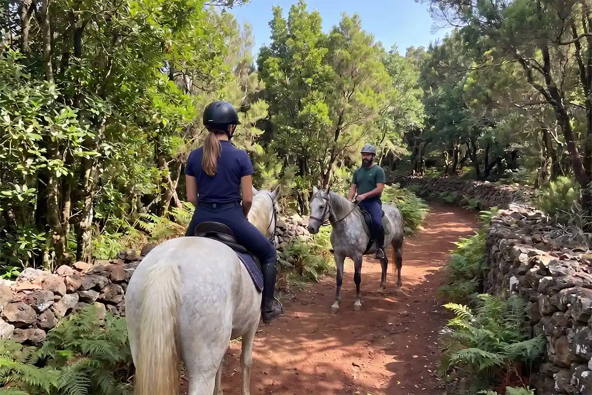Ausritt im Norden Teneriffas - Foto 6