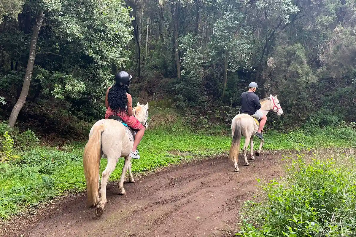 Ausritt im Norden Teneriffas - Foto 8