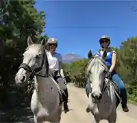Vorschaubild 9 - Ausritt im Norden Teneriffas
