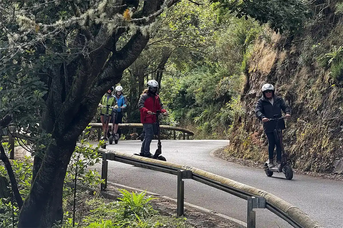 Tour en Patinete Eléctrico Ruta Mixta por Teno Alto - Foto 16
