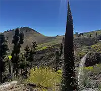 Miniatura 15 - Tour en Patinete Eléctrico Off-Road por la Montaña