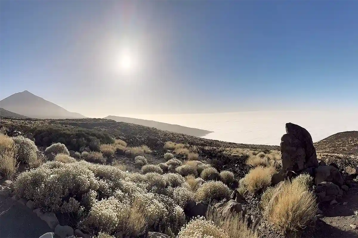 Teide Quad Tour: Magical Sunset - Foto 12