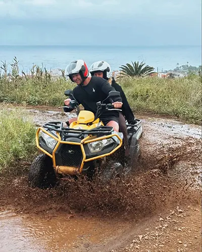 Mamio Verde en Instagram